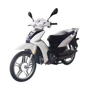 钱江QJ110-11两轮摩托车公告图片