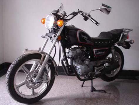 天马TM125-6E两轮摩托车图片