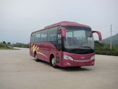 桂林大宇9米24-39座客车(GDW6900HKND1)