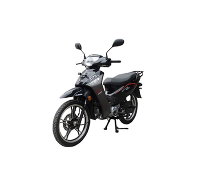 钱江  QJ110-18G b1-1两轮摩托车图片