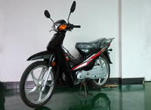 LT110-3G两轮摩托车