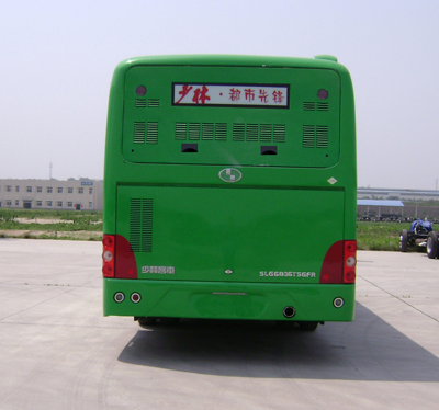 少林SLG6820T5GFR城市客车公告图片