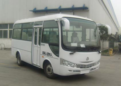 凌宇6米10-19座轻型客车(CLY6600DA)