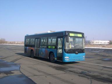 黄海DD6892S01城市客车公告图片