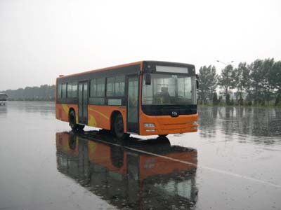 黄海10.5米24-39座城市客车(DD6109S24)