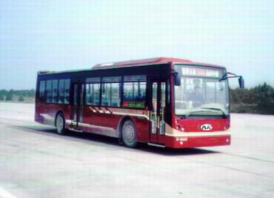 安凯11.1米25-40座城市客车(HFF6114GK64)
