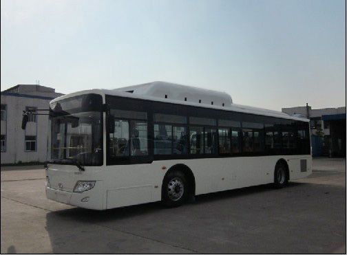 东宇NJL6119GN城市客车公告图片