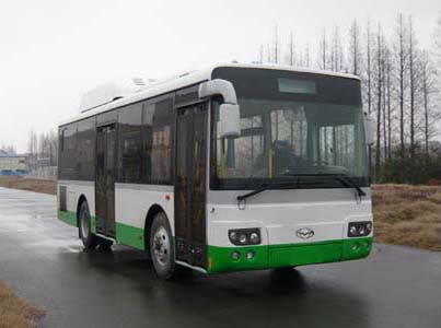 东鸥8.9米10-34座城市客车(ZQK6890NG)