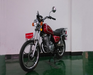 联统LT125-11G两轮摩托车图片