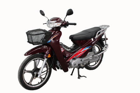 新动力XDL110两轮摩托车图片