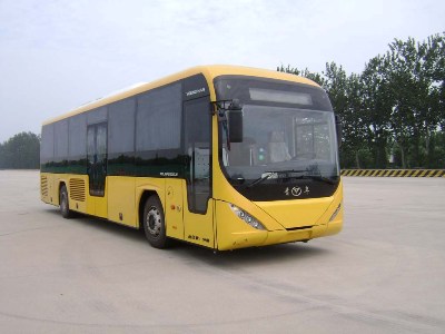 青年12米24-55座客车(JNP6120GLNV)