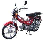 劲扬KY100-3两轮摩托车图片