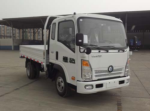 王 87马力 载货汽车(CDW1030HA1Q4)