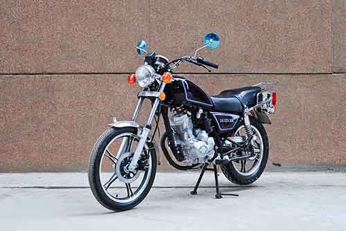 大龙  DL125-30K两轮摩托车图片