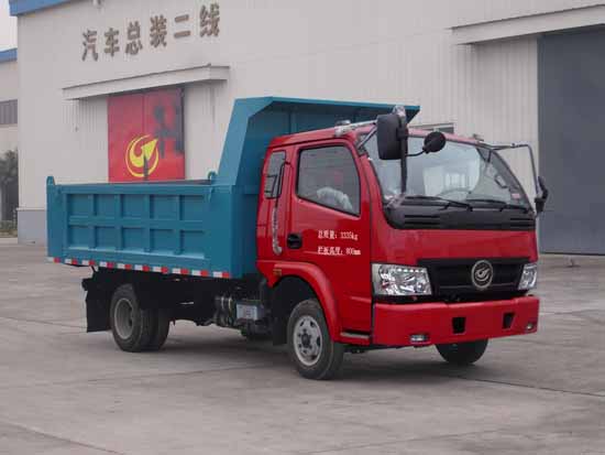 嘉龙DNC3030G-40自卸汽车公告图片