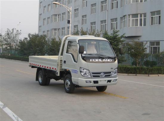 福田BJ1036V3JV5-B4两用燃料载货汽车图片