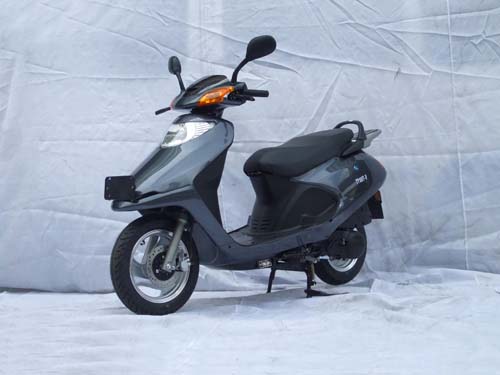 台阳TY100T-V两轮摩托车公告图片