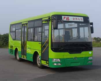 少林SLG6770T5GFR城市客车公告图片