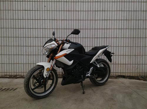 珠峰ZF250GS两轮摩托车图片