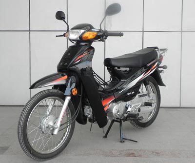 重庆CQ110-28两轮摩托车图片