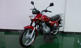 飞肯FK150-C两轮摩托车图片
