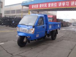 自卸三轮汽车