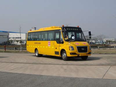 黄海DD6930C01FX中小学生专用校车公告图片