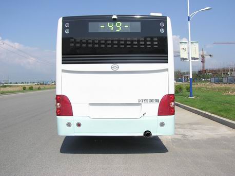黄海DD6892B02N城市客车公告图片