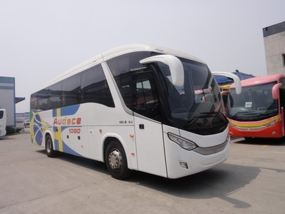 黄海11米24-49座客车(DD6110LCH)