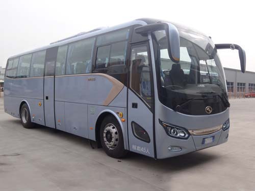 金龙10米24-45座客车(XMQ6101CYN5C)