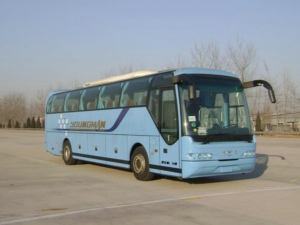 青年11.5米27-55座豪华旅游客车(JNP6115T)