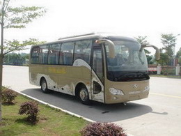 金龙7.7米24-31座客车(XMQ6771Y)