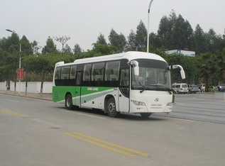 金龙10.6米24-60座客车(XMQ6110ACD3D)