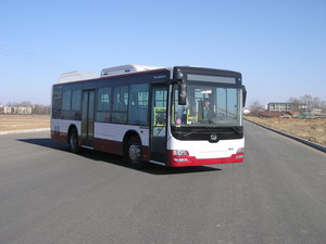 黄海10.5米18-39座城市客车(DD6109S55)