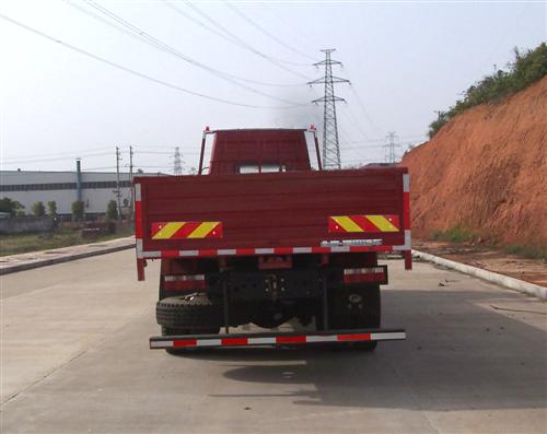 BJ1312VMPJJ-G2 福田9.6米国四载货汽车图片