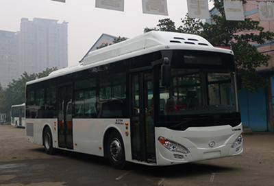 华中10.5米24-40座城市客车(WH6101GNG)