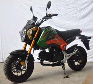 新感觉XGJ125-30两轮摩托车公告图片