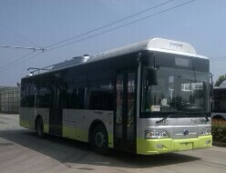 扬子江WG6100BEVH纯电动城市客车图片