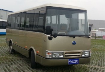 扬子江6.5米11-20座纯电动城市客车(WG6650BEVH)