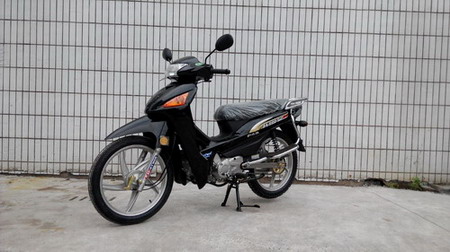 珠峰ZF110-2A两轮摩托车公告图片
