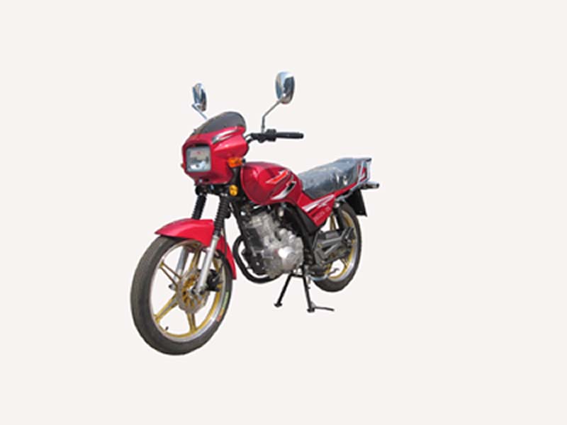 中豪ZH125-2X两轮摩托车公告图片