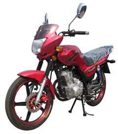 铃田LT150-2X两轮摩托车图片