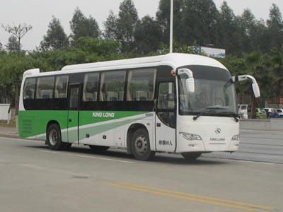 金龙10.6米24-60座客车(XMQ6110ACD4D)