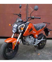 喜马XM150-20C两轮摩托车公告图片