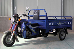 金彭JP200ZH-3正三轮摩托车图片