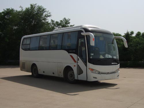 金龙8.7米24-37座客车(XMQ6879BYD4C)