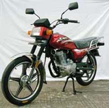 王野WY125-5C两轮摩托车图片