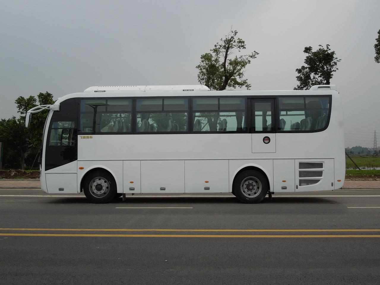 飞驰FSQ6890DC客车公告图片