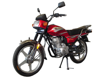 达龙DL150-2A两轮摩托车公告图片
