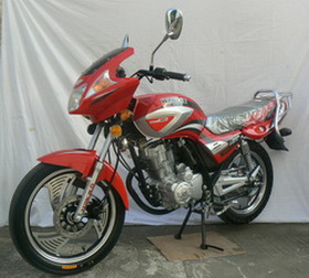 王野WY150-6C两轮摩托车图片